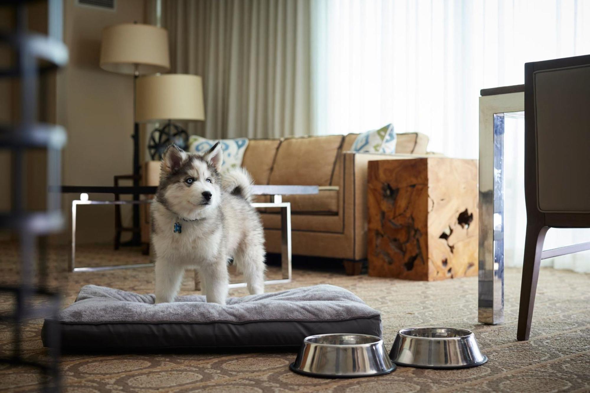 Denver Marriott Westminster Luaran gambar